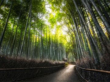 中山泉眼温泉全包价(中山泉眼温泉特色介绍。)-咯哈哈